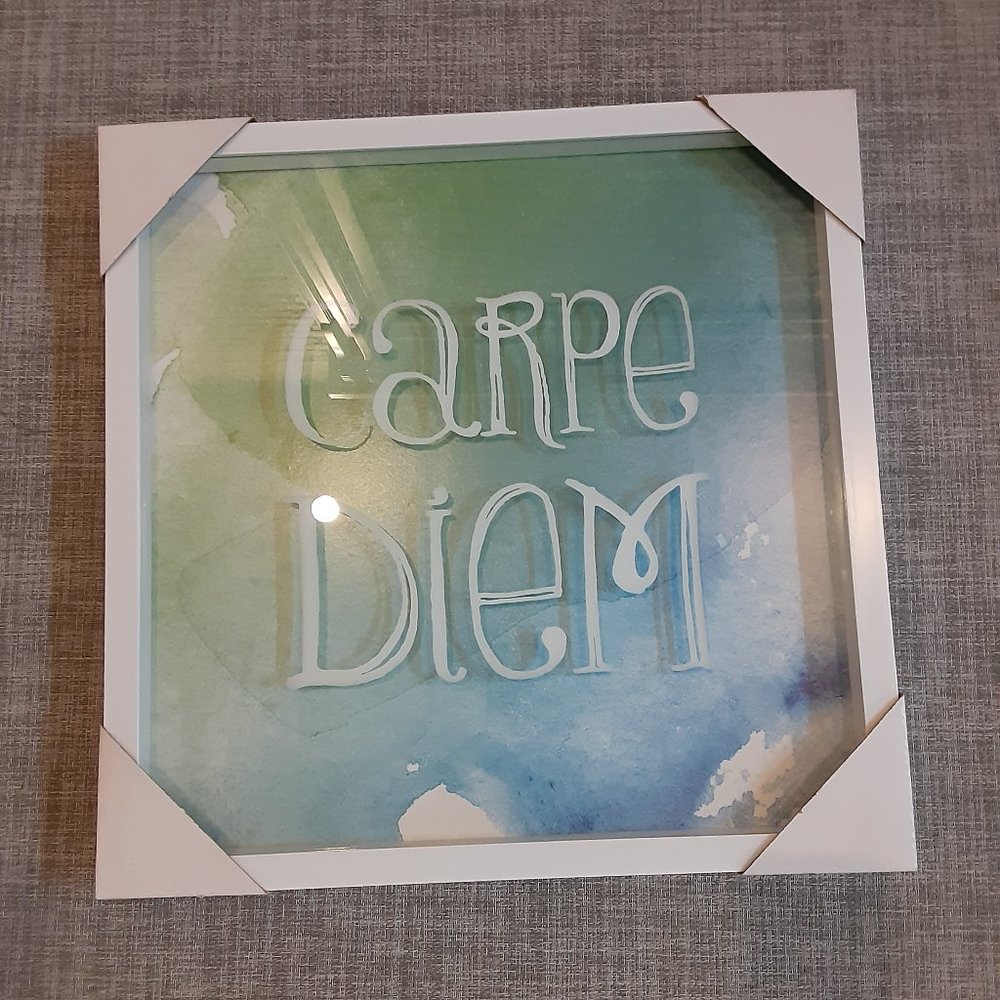 CARPE DIEM framed picture - NEW